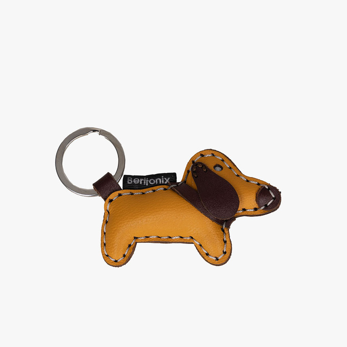 جاسوییچی مردانه / زنانه برتونیکس