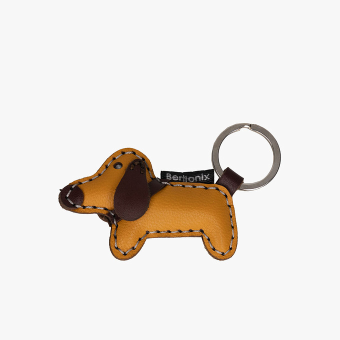 جاسوییچی مردانه / زنانه برتونیکس