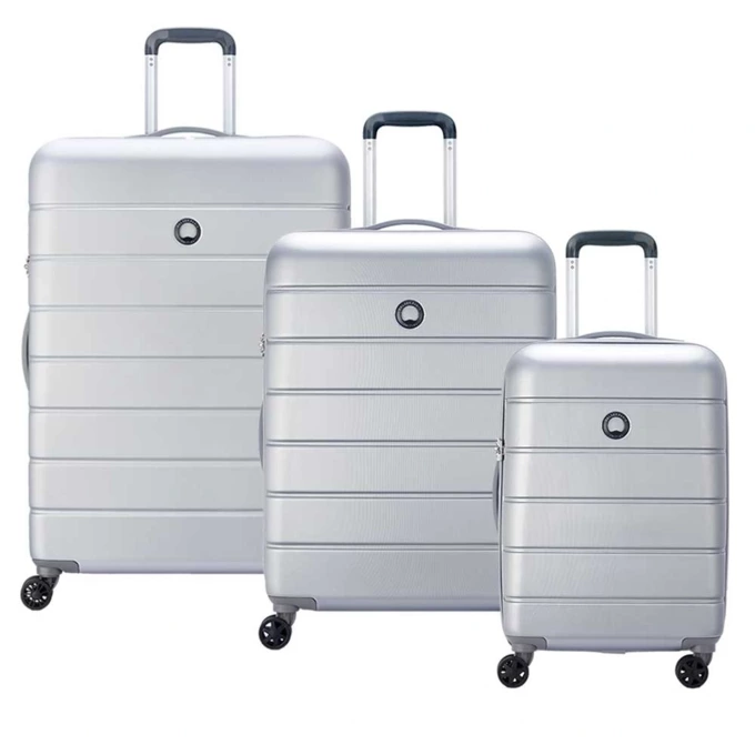 چمدان مردانه / زنانه دلسی