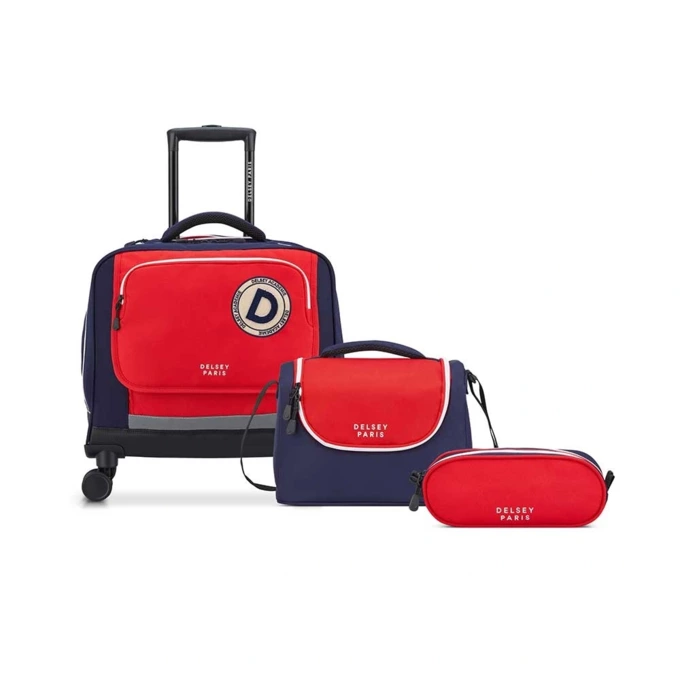 چمدان مردانه / زنانه دلسی