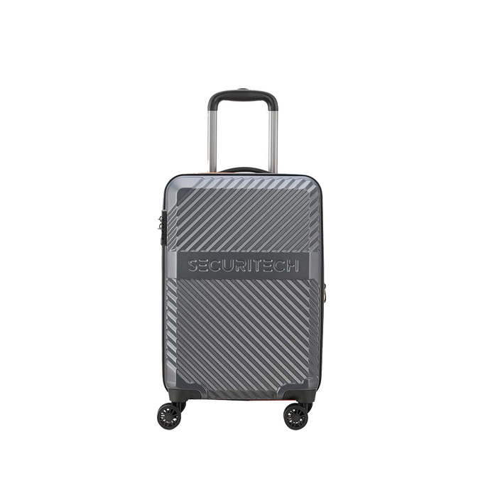 چمدان مردانه / زنانه دلسی