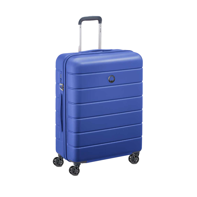 چمدان مردانه / زنانه دلسی