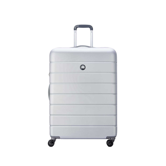 چمدان مردانه / زنانه دلسی