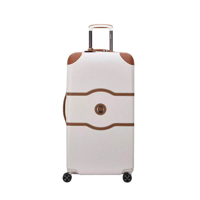 چمدان مردانه / زنانه دلسی