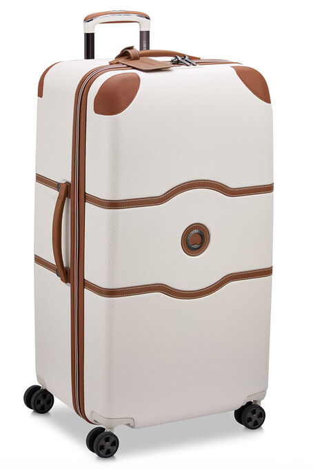 چمدان مردانه / زنانه دلسی