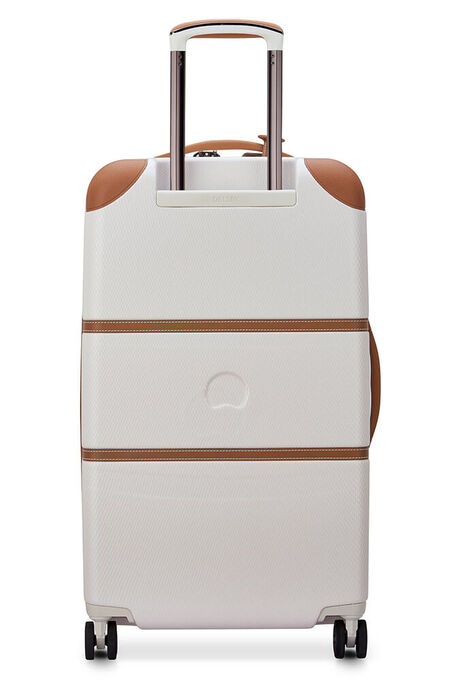 چمدان مردانه / زنانه دلسی