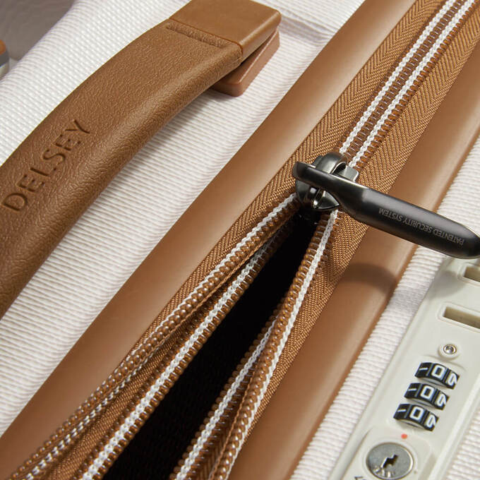 چمدان مردانه / زنانه دلسی