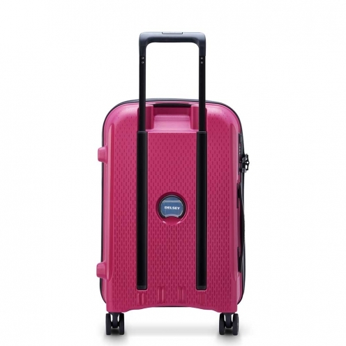 چمدان مردانه / زنانه دلسی