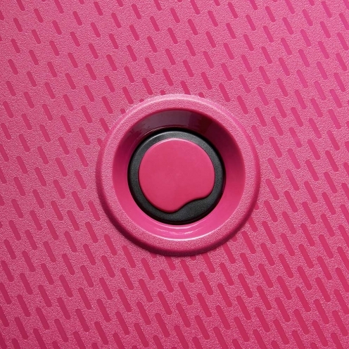 چمدان مردانه / زنانه دلسی