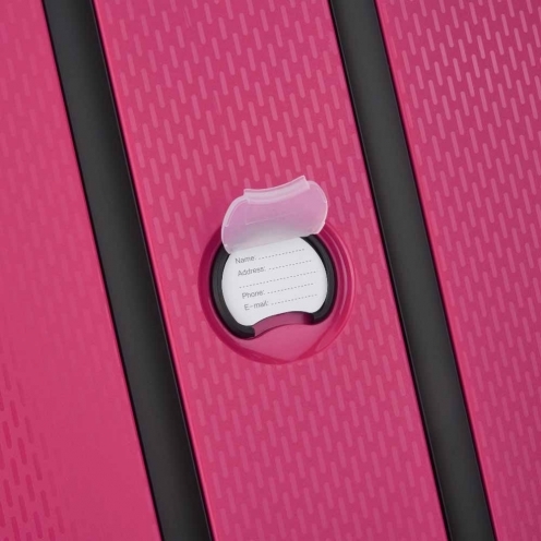 چمدان مردانه / زنانه دلسی