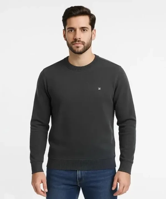 پلیور مردانه وینترهارت