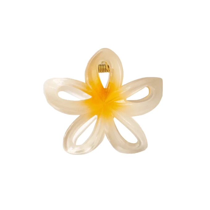 اکسسوری مو زنانه وینکلر