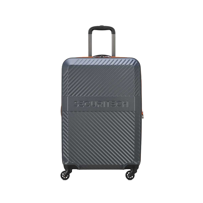 چمدان مردانه / زنانه دلسی