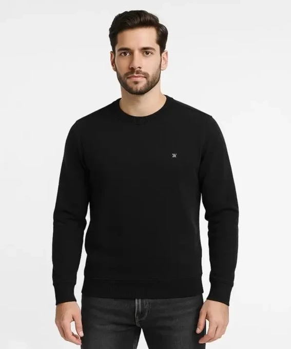 پلیور مردانه وینترهارت