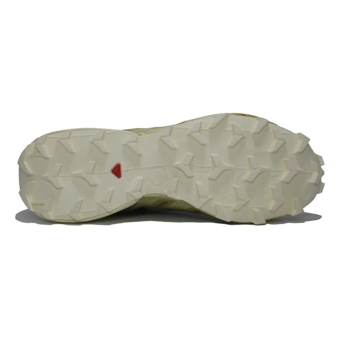 کفش دویدن و پیاده‌روی مردانه سالامون