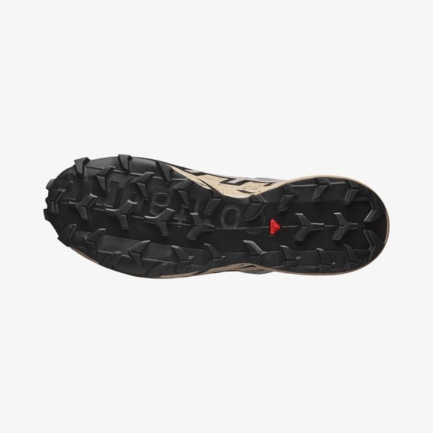 کفش دویدن و پیاده‌روی مردانه سالامون