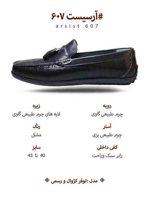 کفش کالج مردانه گابیانی