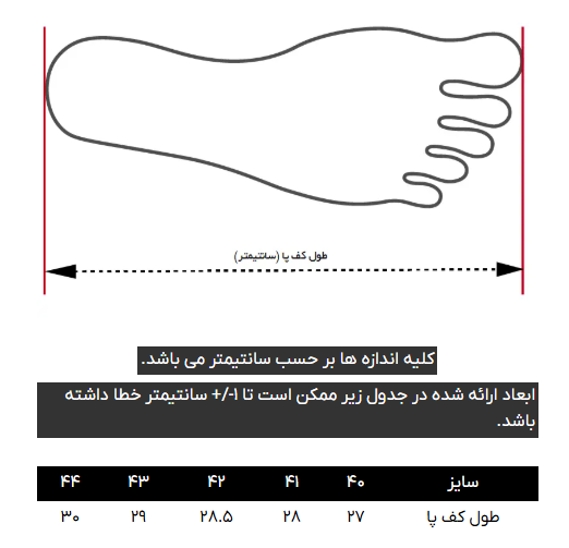 کفش کالج مردانه کروم