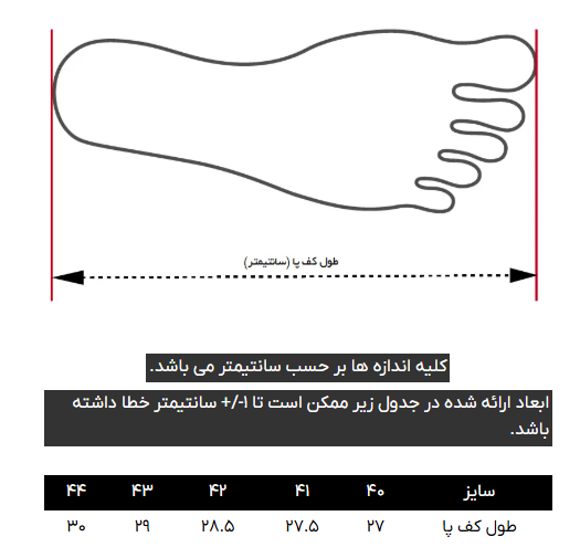 کفش کالج مردانه کروم
