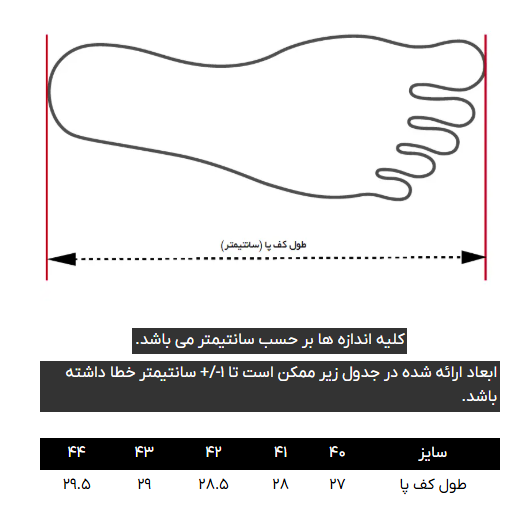 کتانی (اسنیکرز) مردانه کروم