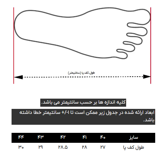 کتانی (اسنیکرز) مردانه کروم