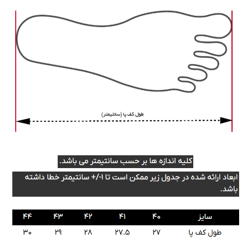 کتانی (اسنیکرز) مردانه کروم