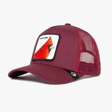 کپ مشترک گورین براز