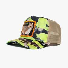 کپ مشترک گورین براز