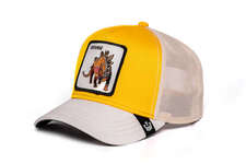 کپ مشترک گورین براز