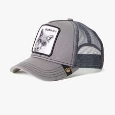 کپ مشترک گورین براز