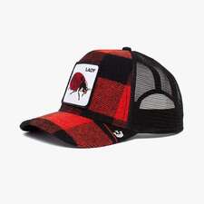 کپ مشترک گورین براز