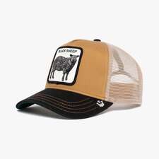 کپ مشترک گورین براز