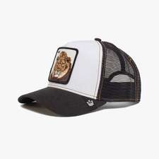 کپ مشترک گورین براز