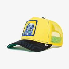 کپ مشترک گورین براز