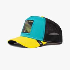 کپ مشترک گورین براز