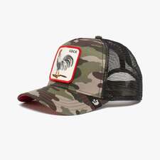 کپ مشترک گورین براز