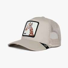 کپ مشترک گورین براز