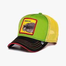 کپ مشترک گورین براز