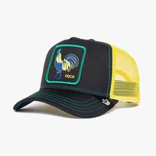 کپ مشترک گورین براز