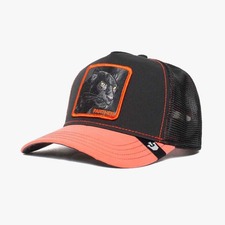 کپ مشترک گورین براز