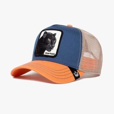 کپ مشترک گورین براز