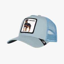 کپ مشترک گورین براز