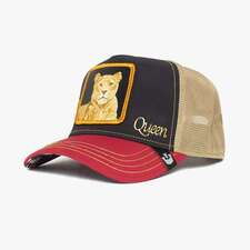 کپ مشترک گورین براز