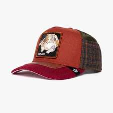 کپ مشترک گورین براز