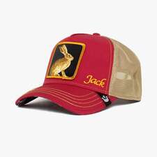 کپ مشترک گورین براز