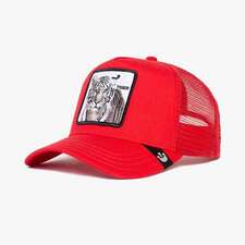 کپ مشترک گورین براز