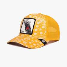 کپ مردانه / زنانه گورین براز