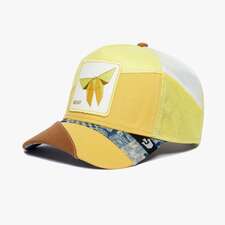 کپ مردانه / زنانه گورین براز