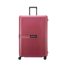 چمدان مردانه / زنانه دلسی