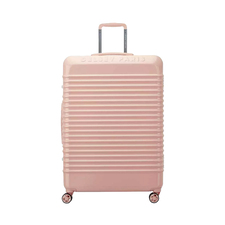 چمدان مردانه / زنانه دلسی